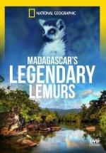 Lemures legendarios de Madagascar 