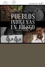 Pueblos indígenas en riesgo 