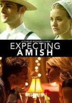 La decisión Amish