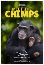 Santuario de chimpancés