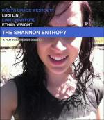 The Shannon Entropy
