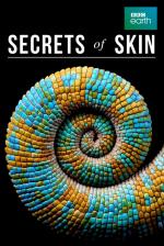 Los secretos de la piel