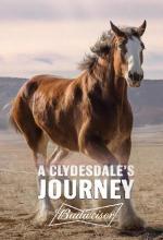 A Clydesdale's Journey
