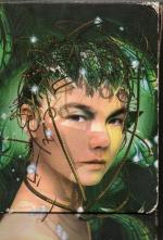 Björk: Bachelorette