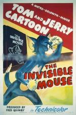 Tom y Jerry: El ratón invisible