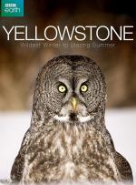 Yellowstone: el gran deshielo