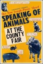 Speaking of Animals at the County Fair