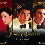 The Jonas Brothers: Lovebug