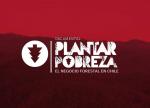 Plantar Pobreza. El negocio forestal en Chile 