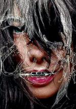 Björk: Hidden Place