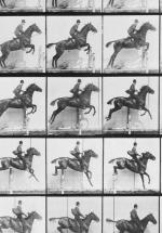 Man Riding Jumping Horse