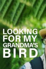 Looking for My Grandma's Bird